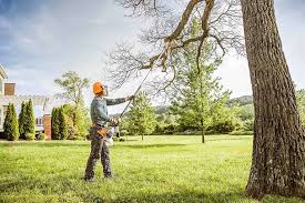 How Our Tree Care Process Works  in  Hayfork, CA